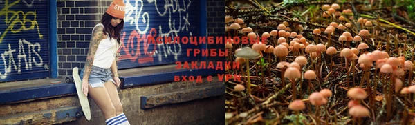 прущая мука Вязники